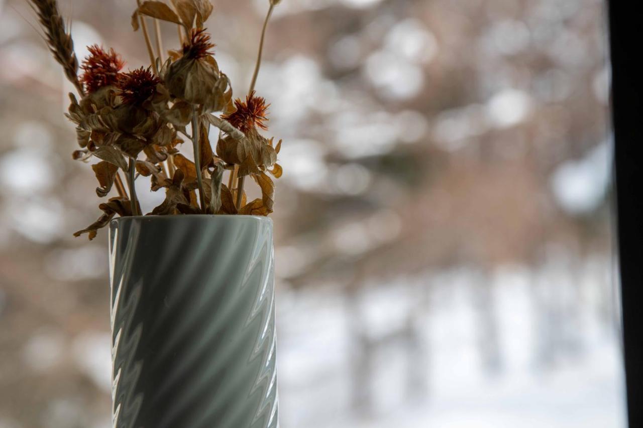 Otari Canopy Lodge - Boutique Lodge At Hakuba Cortina מראה חיצוני תמונה